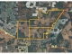 12420 Us Highway 301 N Parrish, FL 34219 - Image 124821