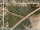 12404 US Hwy 301 N. Thonotosassa, FL 33592 - Image 137466