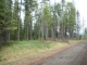 0 N. Lewellan Creek Rd Lot 2 Athol, ID 83801 - Image 341065