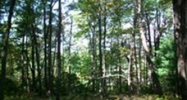 Lot  19 Cliffs Valley (Apn# 0664150 Travelers Rest, SC 29690 - Image 598934