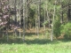 0 Leggett Rd Sale Creek, TN 37373 - Image 1273350