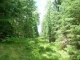 6 Acres Hansen Road Sayner, WI 54560 - Image 1280115