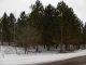 0 Trails End & Nokomis St Mackinaw City, MI 49701 - Image 1362667