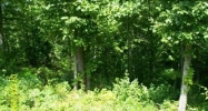 Brushy Creek Point Lot 7 Arley, AL 35541 - Image 1664286