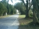 CR313 Bushnell, FL 33513 - Image 1936553