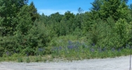 15 Evergreen Franconia, NH 03580 - Image 2271142