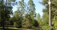 Lake Wood Ranches Parcel 111 (Apn# Eustis, FL 32736 - Image 2358517