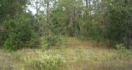 100 59th Ln Dunnellon, FL 34431 - Image 2474579