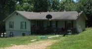 310 Burns Ln South Pittsburg, TN 37380 - Image 2521262