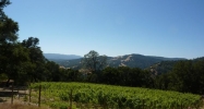 0 Hennessey Ridge Rd Saint Helena, CA 94574 - Image 2532967