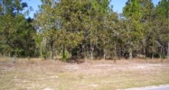 9781 North Athenia Drive Dunnellon, FL 34434 - Image 2558127