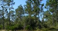 Lot 6 Daytona Dr Indian Lake Estates, FL 33855 - Image 2761971