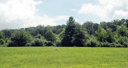 Lot 1 Arnold Glenville, PA 17329 - Image 2784628