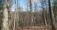 Lot 18 Delafield Rd Hot Springs, VA 24445 - Image 2916260