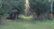 NNA Roop Rd Cocolalla, ID 83813 - Image 2934011