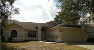 2542 Brimhollow Dr Valrico, FL 33596 - Image 2987273