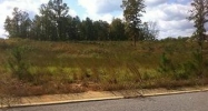 Belle Meade Cir Lot 3 Northport, AL 35475 - Image 2991883