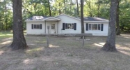 11545 Blue Lake Road Holton, MI 49425 - Image 3071872