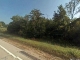 Highway 61 Bloomsdale, MO 63627 - Image 3117197