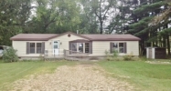 351 E Main St Mecosta, MI 49332 - Image 3128005