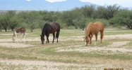 2617 N Ocotillo Road Benson, AZ 85602 - Image 3134928