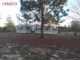 15 Sandy Circle Mauk, GA 31058 - Image 3148612