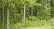 Lot 18a Cliffs At Walnut Cove  (Apn Arden, NC 28704 - Image 3250162