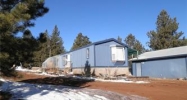 3013 County Rd 1 Cripple Creek, CO 80813 - Image 3378909