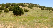 Lot 75 Twin Butte Estate Beulah, CO 81023 - Image 3379271