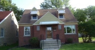 3917 W 86th Pl Chicago, IL 60652 - Image 3481341