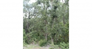 49TH STREET ROAD Ocklawaha, FL 32179 - Image 3545457