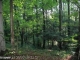 Mink Hollow Highland, MD 20777 - Image 3563030