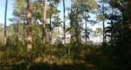 Lot 2 Beach Rd Theodore, AL 36582 - Image 3617294