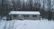 9309 E 22 Rd Manton, MI 49663 - Image 3688179