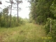 53.68 Acres Rover, AR 72860 - Image 3744648