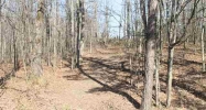 17.55 Acres Dawson Road Harrisburg, AR 72432 - Image 3752076