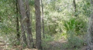 171 Oak Run Rd Crescent City, FL 32112 - Image 3778238