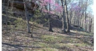 6.193 acre Honey Creek Rd Eureka Springs, AR 72631 - Image 3788240