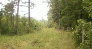 53.68 Acres Rover, AR 72860 - Image 3808930