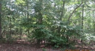 Lot129 129 Western Trl Carthage, NC 28327 - Image 3814314