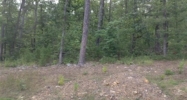 Lot 47 Chenay Little Rock, AR 72223 - Image 3846312