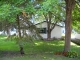 217Th Darwin, MN 55324 - Image 3856553