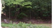 Lot 1 &amp; Z Lowel Point Subdivision Eureka Springs, AR 72631 - Image 3861541