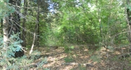 40 acres off Hwy 164 Hagarville, AR 72839 - Image 3862463