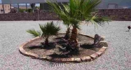 13377 E 53RD LN Yuma, AZ 85367 - Image 3870858