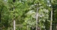 Lot 1 Bl Aldersgate Little Rock, AR 72205 - Image 3880699