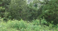 Lot 10 Cr 274 Mountain Home, AR 72653 - Image 3905316