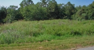 Lot 38 Ridgewood Drive Dr Mountain Home, AR 72653 - Image 3905792