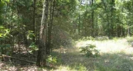 Lot 36 Cr 1434 Mountain Home, AR 72653 - Image 3914198