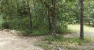 000 Cook road Mountain View, AR 72560 - Image 3915795